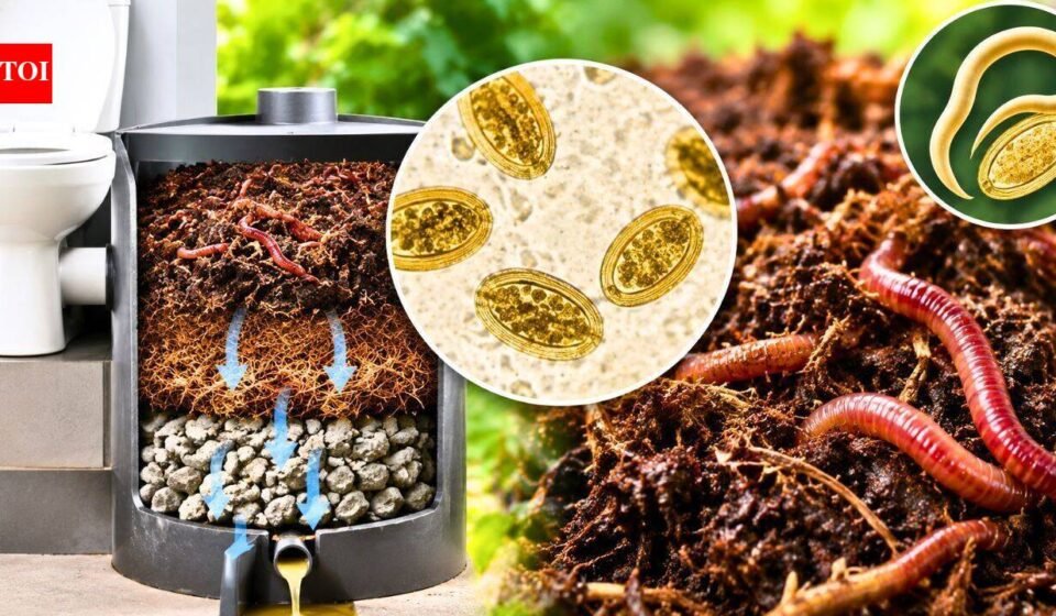 Scientists are using worms that eat human waste to turn toilet waste into compost, but parasitic eggs can survive the process