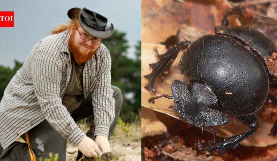 Meet Patrick Urban: The German dung beetle specialist who found a species never known to science among collected beetles