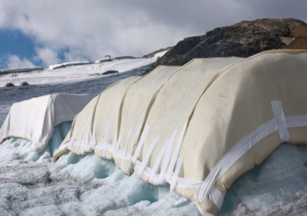 Scientists covered 200 square metres of a Swiss glacier with sheep’s wool; early tests found it protected the ice about as well as plastic sheets, but only 0.02% of Swiss glacier ice is covered