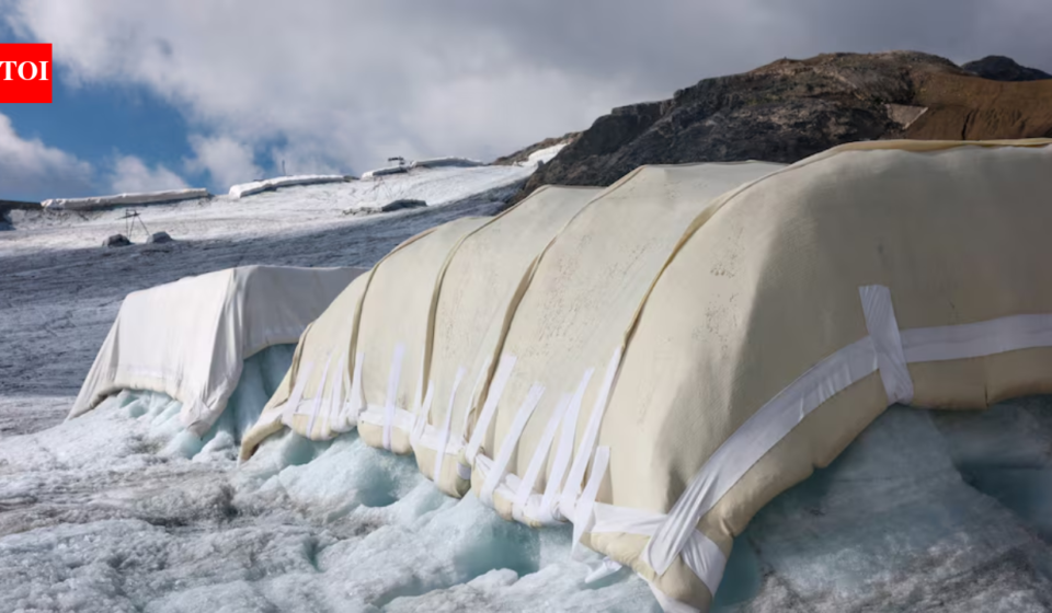 Scientists covered 200 square metres of a Swiss glacier with sheep’s wool; early tests found it protected the ice about as well as plastic sheets, but only 0.02% of Swiss glacier ice is covered