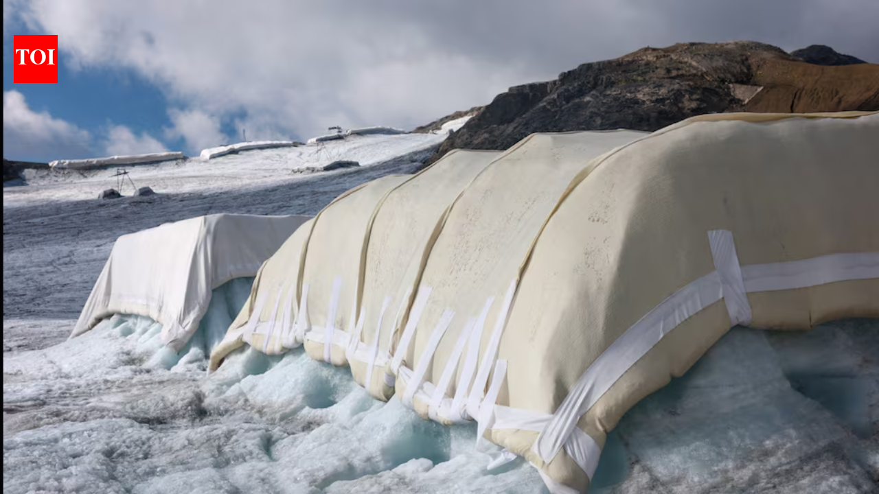Scientists covered 200 square metres of a Swiss glacier with sheep’s wool; early tests found it protected the ice about as well as plastic sheets, but only 0.02% of Swiss glacier ice is covered