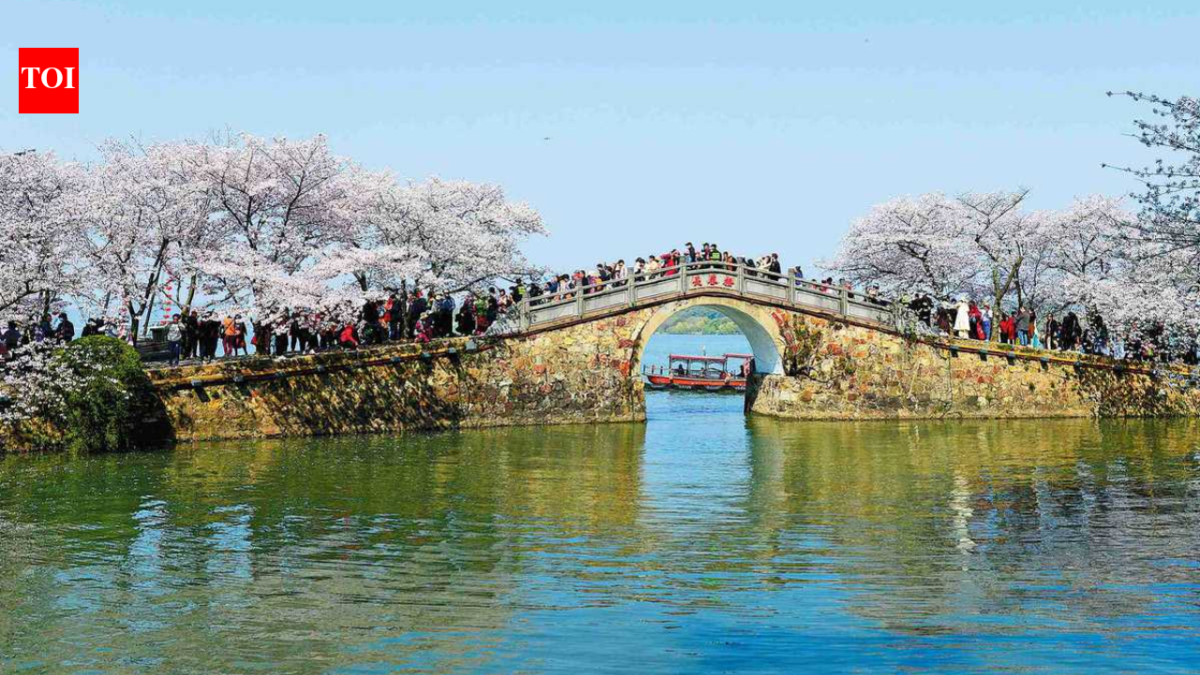China tested nanobubbles across a 3,300-square-metre section of Taihu Lake; within 20 days a key measure of cyanobacteria fell nearly 90% and ammonia nitrogen dropped sharply