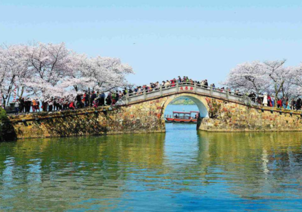 China tested nanobubbles across a 3,300-square-metre section of Taihu Lake; within 20 days a key measure of cyanobacteria fell nearly 90% and ammonia nitrogen dropped sharply