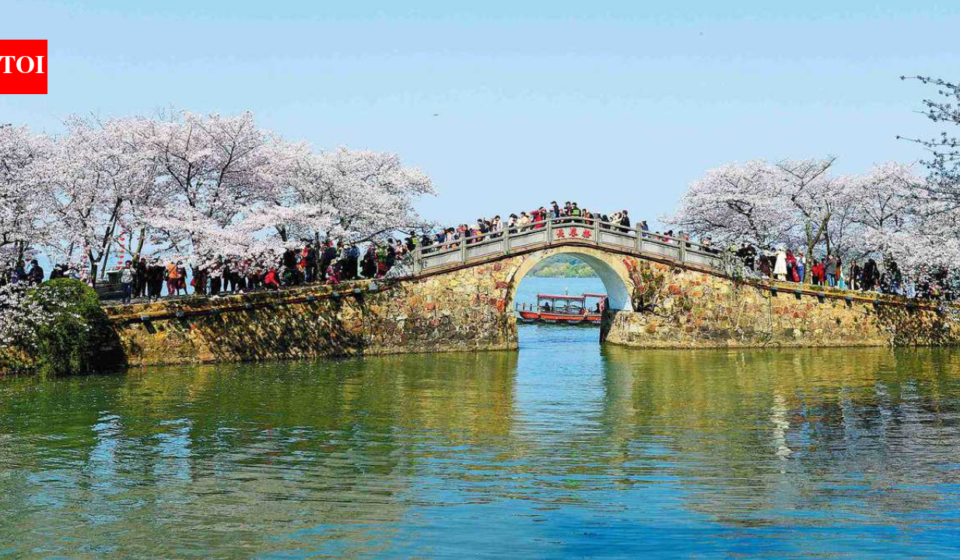 China tested nanobubbles across a 3,300-square-metre section of Taihu Lake; within 20 days a key measure of cyanobacteria fell nearly 90% and ammonia nitrogen dropped sharply