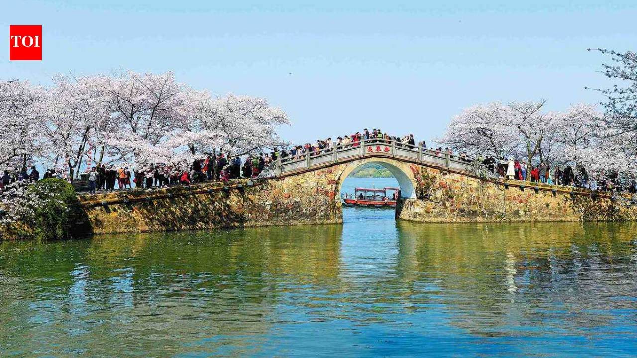 China tested nanobubbles across a 3,300-square-metre section of Taihu Lake; within 20 days a key measure of cyanobacteria fell nearly 90% and ammonia nitrogen dropped sharply