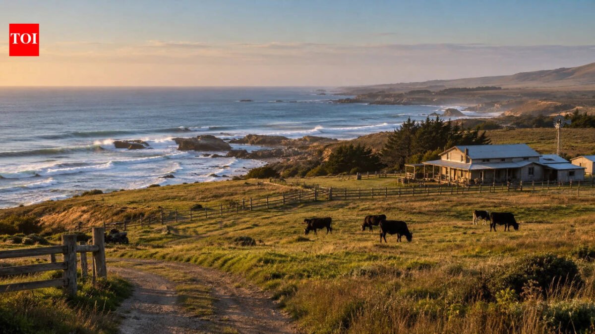 A Texas family held this coastal ranch for generations; now 2,500 acres have become part of a 17,500-acre wildlife refuge