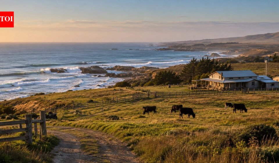 A Texas family held this coastal ranch for generations; now 2,500 acres have become part of a 17,500-acre wildlife refuge