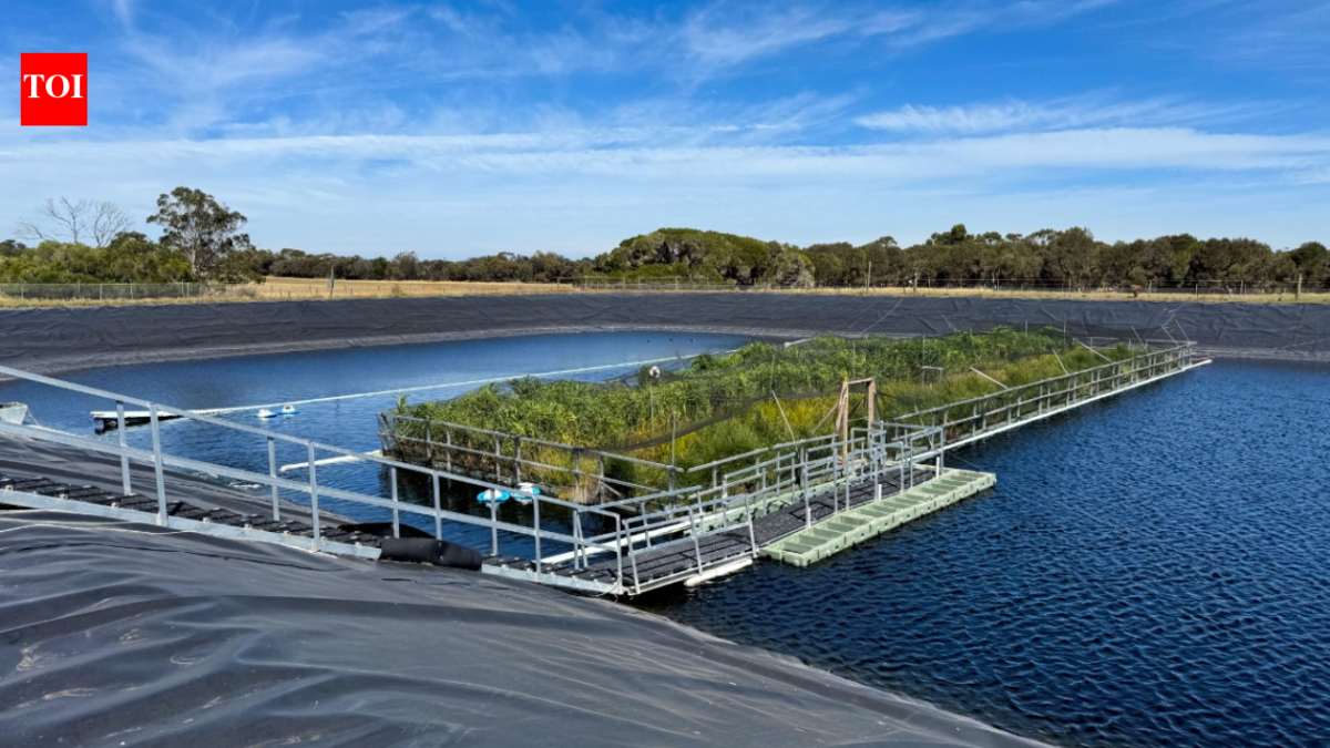 In 2023, Australia put a 330-square-metre floating wetland on a wastewater lagoon; two years later researchers found methane emissions had fallen by up to 66%