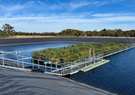 In 2023, Australia put a 330-square-metre floating wetland on a wastewater lagoon; two years later researchers found methane emissions had fallen by up to 66%