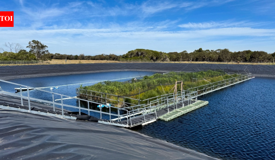 In 2023, Australia put a 330-square-metre floating wetland on a wastewater lagoon; two years later researchers found methane emissions had fallen by up to 66%