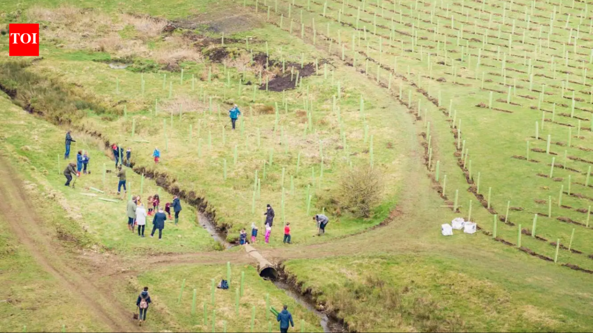 In 2021, a North Yorkshire estate began restoring 2,500 acres of intensively farmed land; four years later, 330,000 trees and 1,700+ species mark its comeback