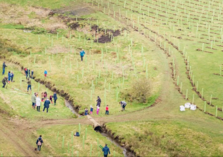 In 2021, a North Yorkshire estate began restoring 2,500 acres of intensively farmed land; four years later, 330,000 trees and 1,700+ species mark its comeback