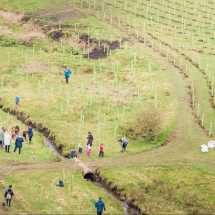In 2021, a North Yorkshire estate began restoring 2,500 acres of intensively farmed land; four years later, 330,000 trees and 1,700+ species mark its comeback
