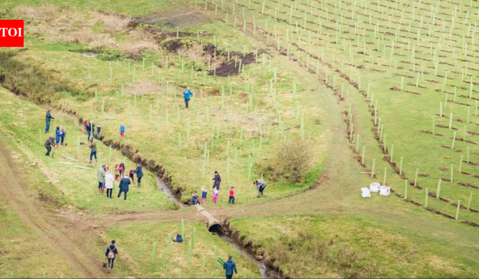 In 2021, a North Yorkshire estate began restoring 2,500 acres of intensively farmed land; four years later, 330,000 trees and 1,700+ species mark its comeback