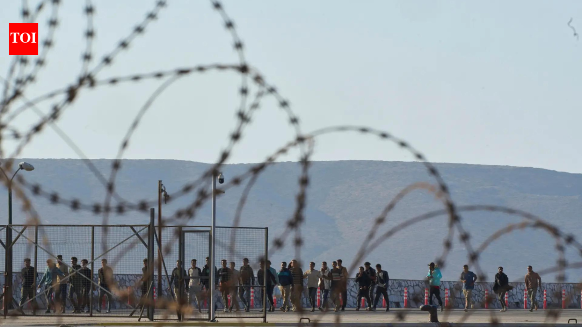 Just 1% of asylum seekers in UK genuine, insider says, as UN blasts Britain for allowing bogus claims
