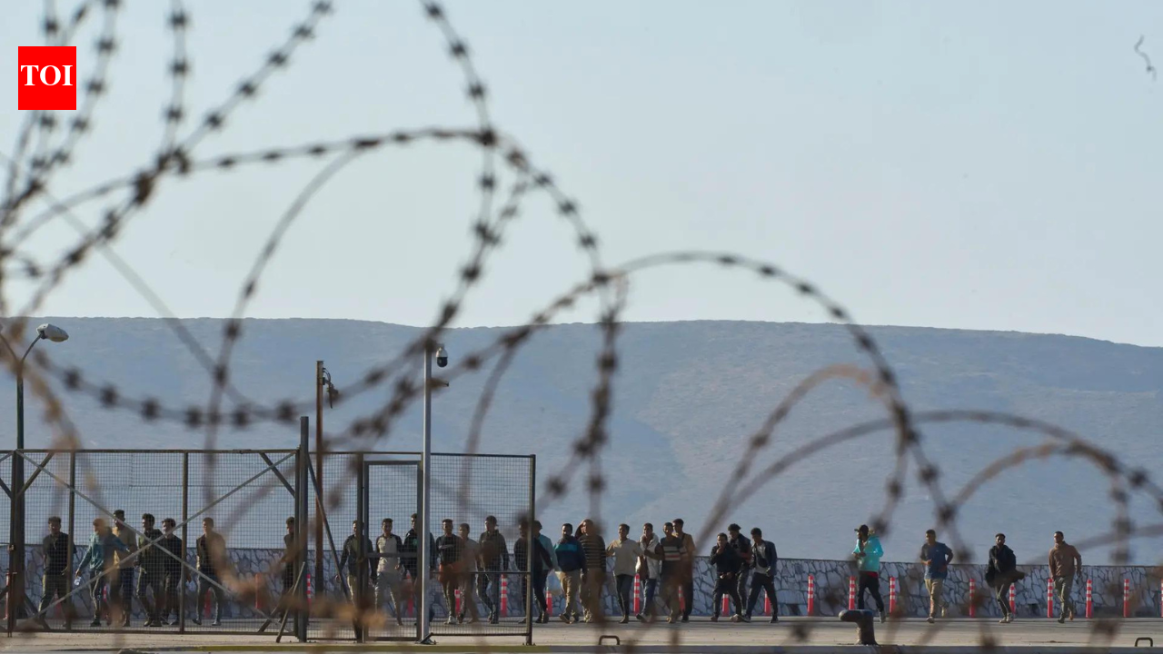 Just 1% of asylum seekers in UK genuine, insider says, as UN blasts Britain for allowing bogus claims