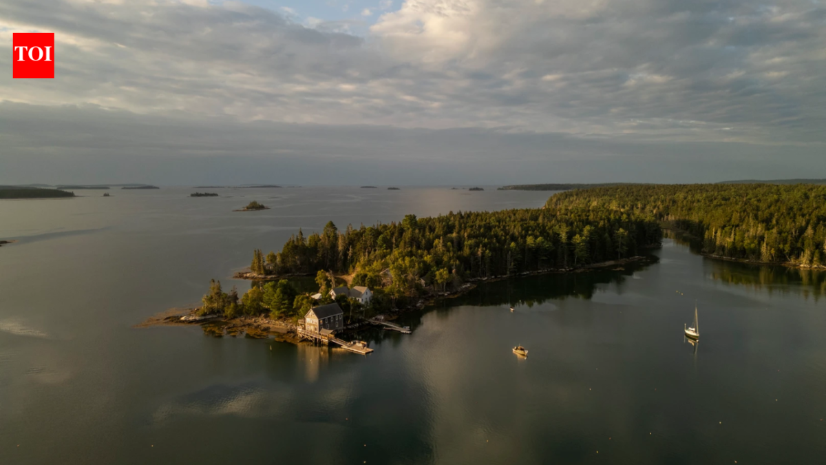 She bought a Maine island to stop clear-cutting; 90 years after Audubon opened its first camp there, the 330-acre sanctuary still trains conservationists