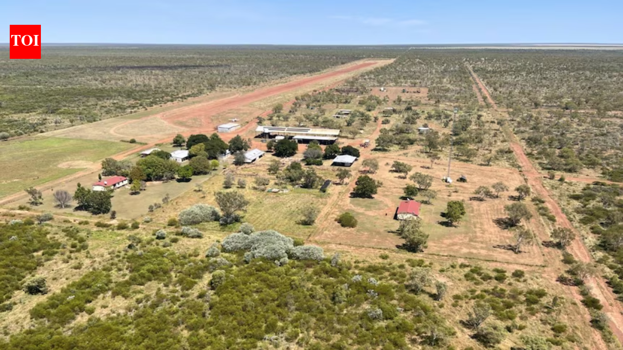In 2023, an Australian cattle station sold for $40 million with plans for a major carbon project; three years later it has resold for $26 million after the project never happened