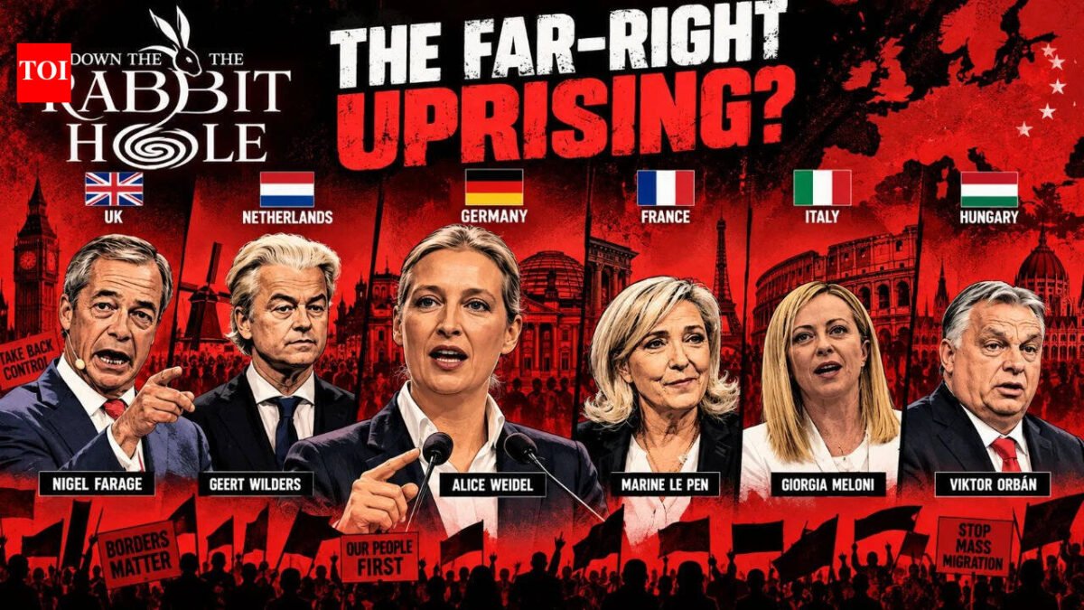 DOWN THE RABBIT HOLE: What AfD's big win in German state election says about 'far right' uprising in Europe