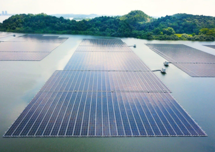 Singapore covered a reservoir with 122,000 floating solar panels; it now powers 5 water-treatment plants and cuts 32,000 tonnes of CO₂ every year