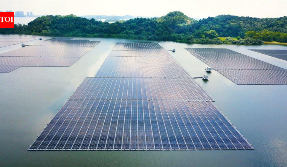 Singapore covered a reservoir with 122,000 floating solar panels; it now powers 5 water-treatment plants and cuts 32,000 tonnes of CO₂ every year