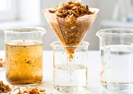 Scientists found a surprising use for apple waste. It removed up to 100% of toxic lead from water in lab tests