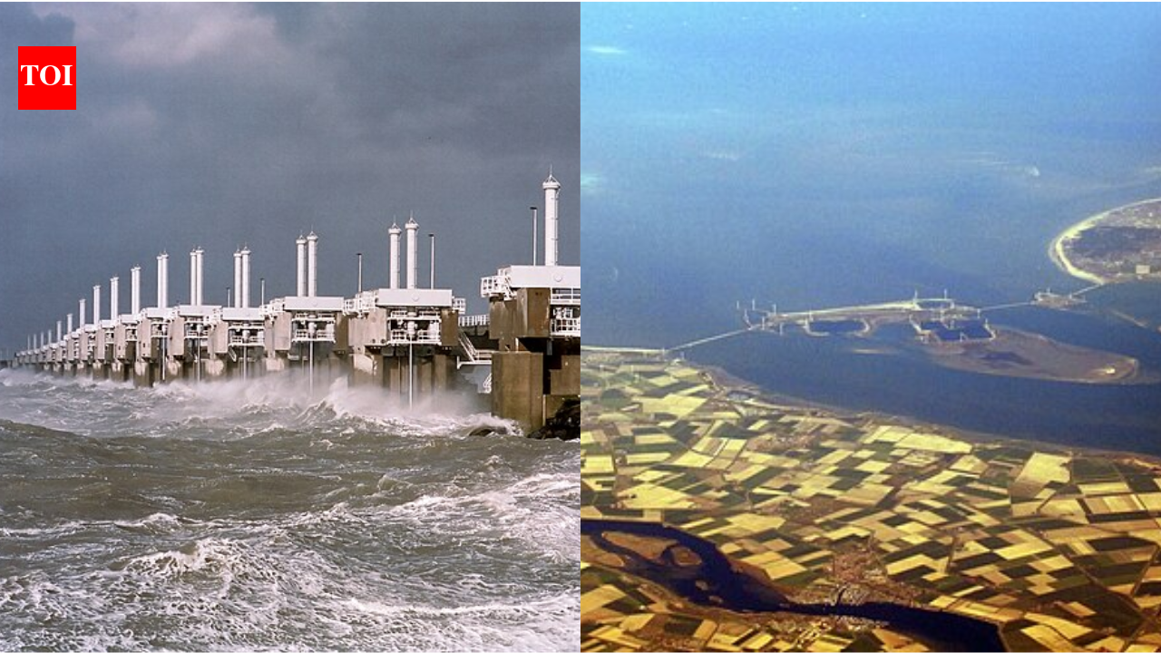 Netherlands built a 9-km storm barrier to protect against floods; decades later, “sand hunger” began shrinking tidal flats