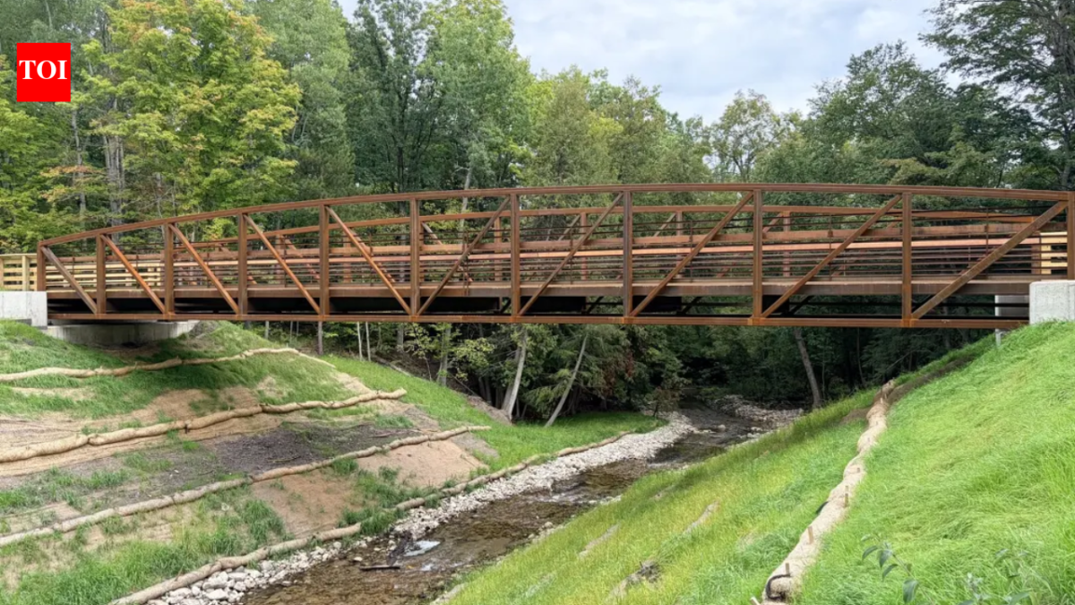 More than a century ago, a railroad dam blocked Michigan’s Buckhorn Creek; after its removal, the stream is flowing freely again and a new 90-foot bridge now crosses above it