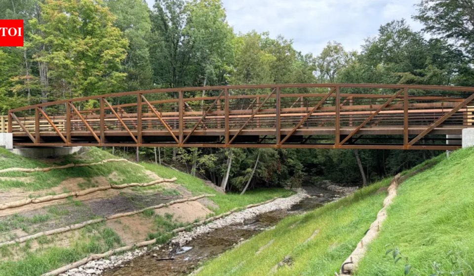 More than a century ago, a railroad dam blocked Michigan’s Buckhorn Creek; after its removal, the stream is flowing freely again and a new 90-foot bridge now crosses above it