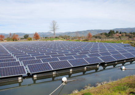 A 27-year-old Tennessee diesel mechanic wanted to farm full-time; solar sites gave his sheep 400+ acres to graze, letting him quit his job and build a 300-ewe flock