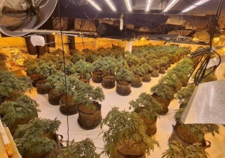 Thames Valley Police uncover £1.3 million cannabis factory inside abandoned BHS store in Slough with 1,700 plants and potential 150kg yield; two men jailed for 14 months