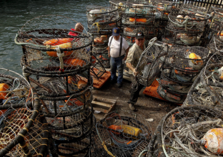 California officers found 194 abandoned Dungeness crab traps off two rivers; violations wasted hundreds of crabs and brought four-year permit suspensions
