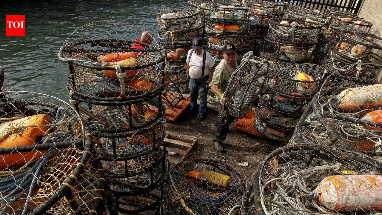 California officers found 194 abandoned Dungeness crab traps off two rivers; violations wasted hundreds of crabs and brought four-year permit suspensions