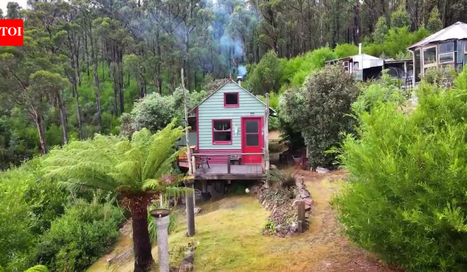At 21, an Australian artist bought 25 acres in Tasmania; 18 months later a bushfire destroyed her first home, so she rebuilt it from salvage materials into an off-grid cabin for AU$7,000-10,000