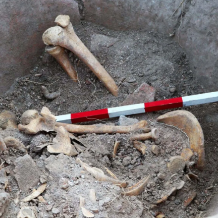 A man climbed inside a giant Roman storage jar around 1,600 years ago and never came out; archaeologists think they know what he was hiding from