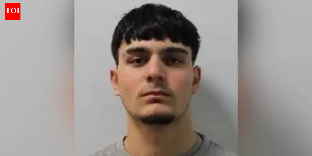 18-year-old Afghan refugee pleads guilty to murdering man in London; accused of stalking cousin's wife