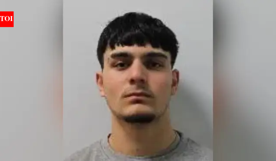 18-year-old Afghan refugee pleads guilty to murdering man in London; accused of stalking cousin's wife