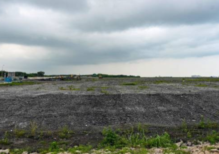 Singapore burns its garbage and dumps the ash into the sea; how a 350-hectare island became a wildlife haven