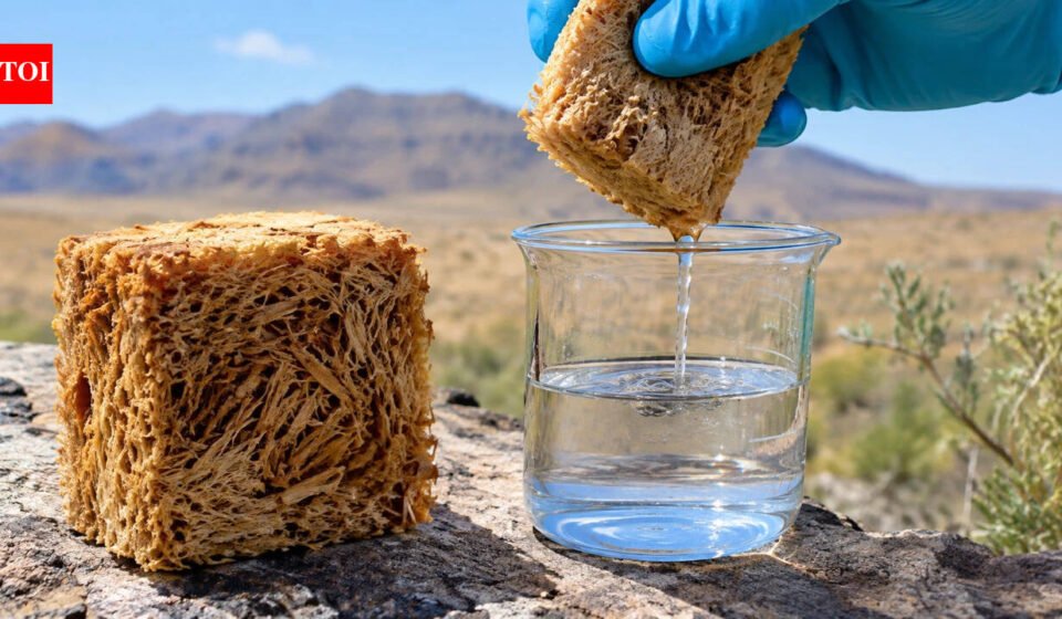 Scientists built a wood-based sponge that pulls water from air as dry as 15% humidity; it produced up to 1.72 litres per kg per day
