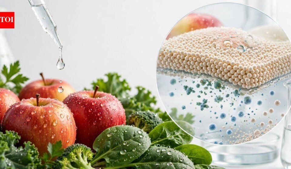 Scientists developed a starch-based wash that removes pesticide residues and keeps fruits and vegetables fresh for 15 days