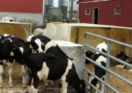 In 2011, a Massachusetts dairy installed the state's first agricultural digester; by 2020, manure and food waste were saving it $155,000 a year on heat, fertiliser, and bedding