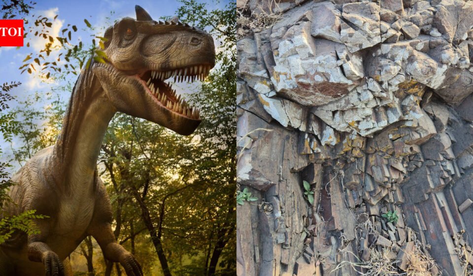 In 2016, a Montana researcher picked up a rock half the size of a golf ball; 10 years later, scans showed dinosaur dung holding the finest feather yet found from the age of dinosaurs