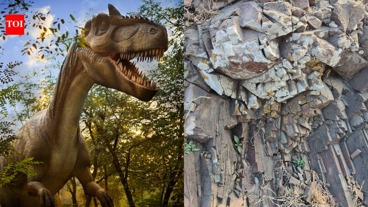 In 2016, a Montana researcher picked up a rock half the size of a golf ball; 10 years later, scans showed dinosaur dung holding the finest feather yet found from the age of dinosaurs