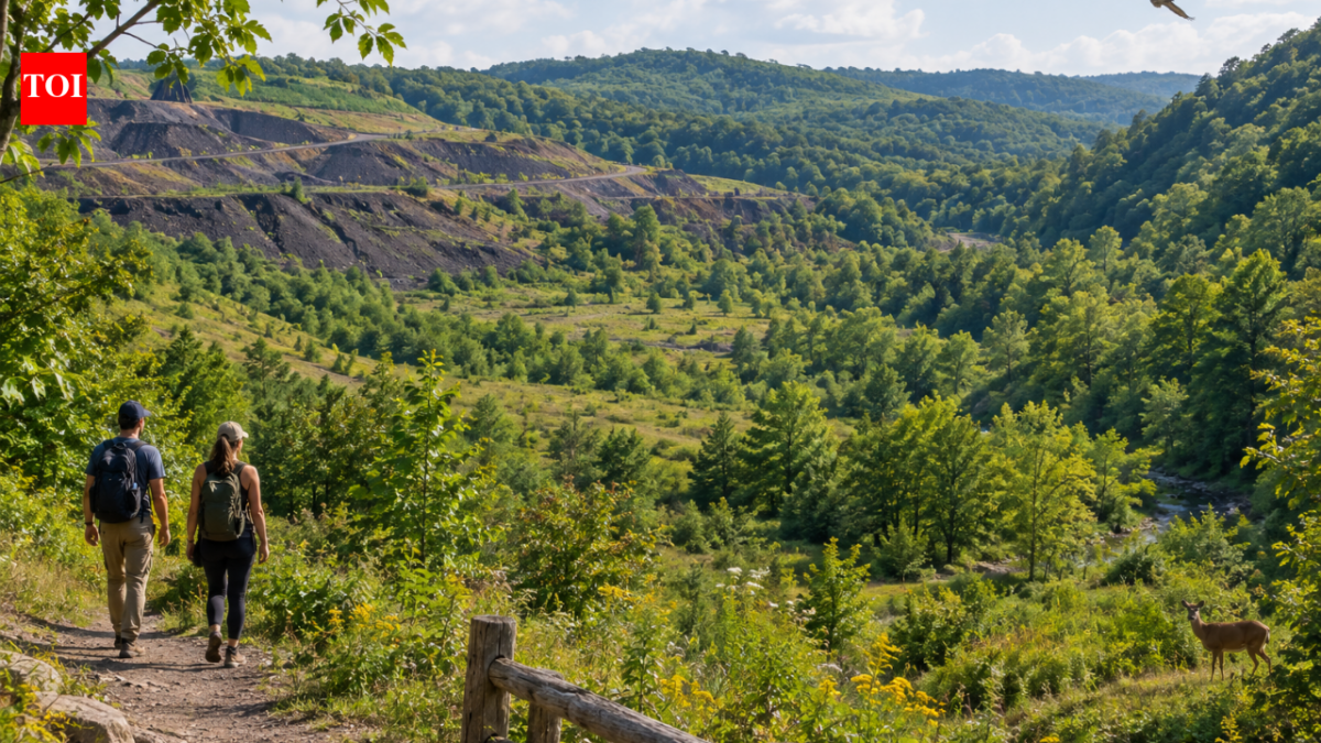 An Ohio community is negotiating to buy 850 acres from a coal company; if successful, the public forest could link about 74,000 acres between Wayne National Forest and Strouds Run State Park