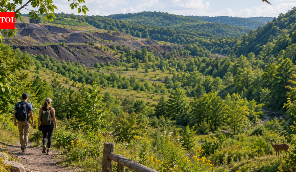 An Ohio community is negotiating to buy 850 acres from a coal company; if successful, the public forest could link about 74,000 acres between Wayne National Forest and Strouds Run State Park