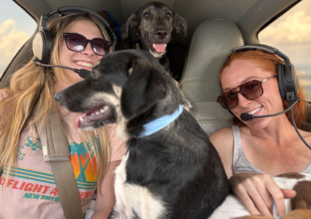 Florida volunteer pilots started flying animals out of overcrowded shelters in 2010; more than 12,000 rescued dogs and cats have now made the journey
