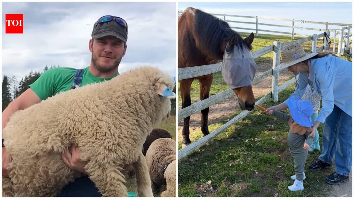 Inside Chris Pratt’s 100-acre Washington ranch with sheep, pigs and award-winning wool, where farm life helps him slow down away from Hollywood