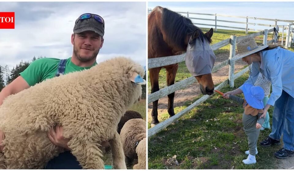 Inside Chris Pratt’s 100-acre Washington ranch with sheep, pigs and award-winning wool, where farm life helps him slow down away from Hollywood