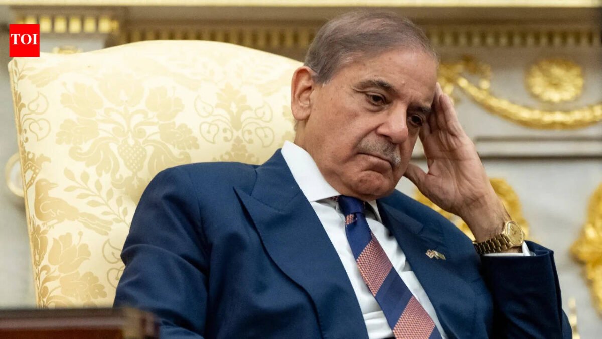 Pakistan ministers warn of energy crisis; Shehbaz government struggles as fuel prices break records