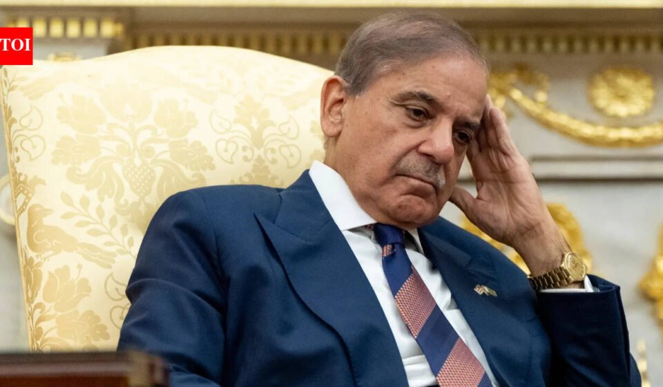 Pakistan ministers warn of energy crisis; Shehbaz government struggles as fuel prices break records